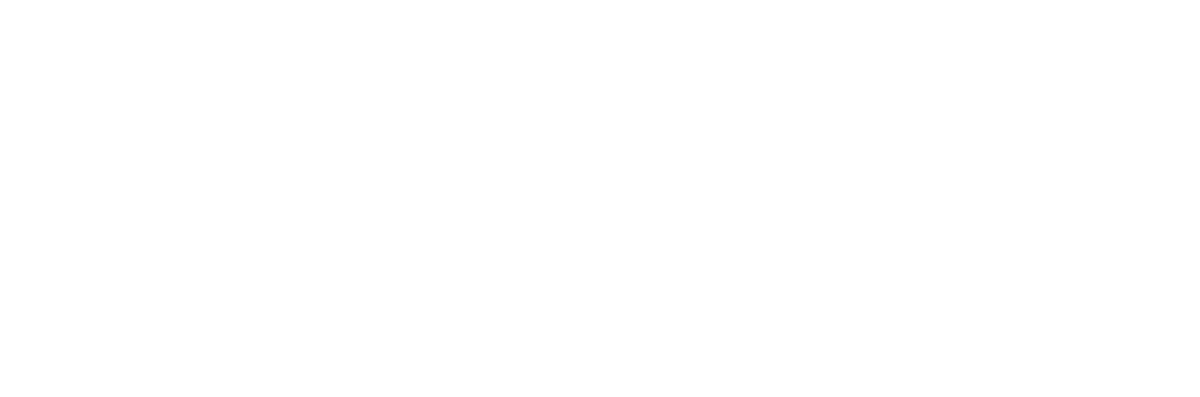 transilvania business