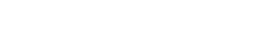 pro economica