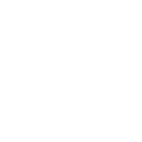 NAPOLEON