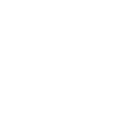 MVM