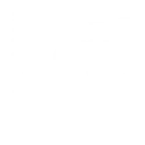 Ursus