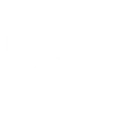 YZ