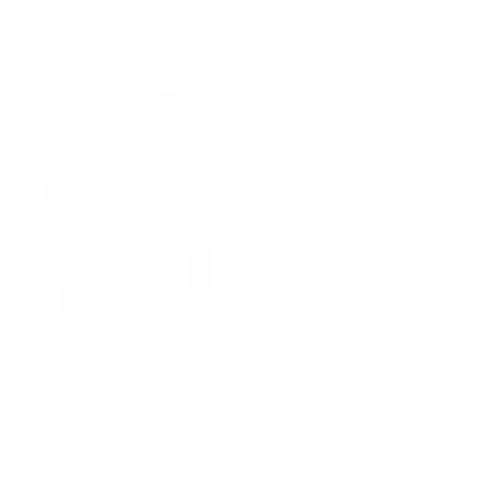 Punctul
