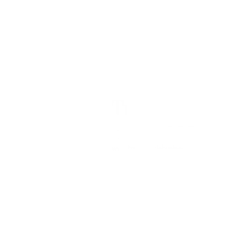 Transylvania Business